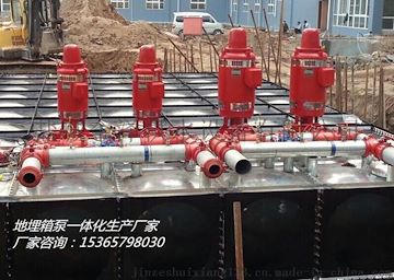 新疆抗浮式地埋箱泵一体化生产厂家